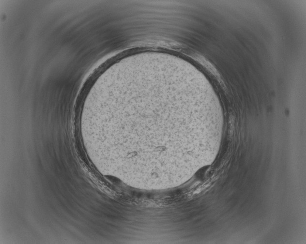 X0000083651020200703121740