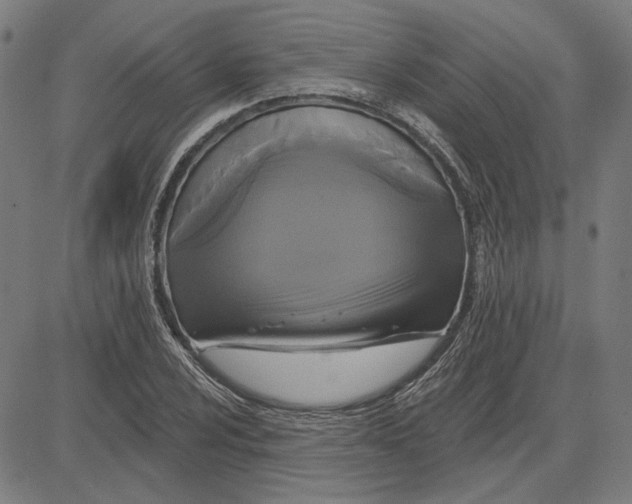 X0000083651024200703121740