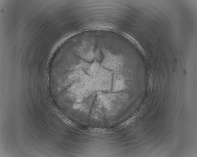 X0000083651027200703121740