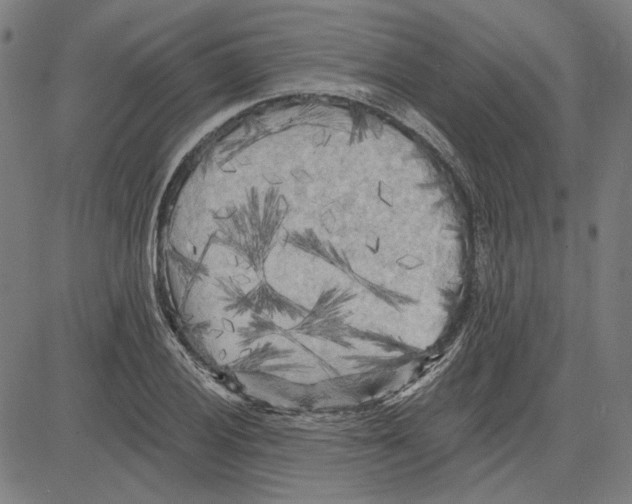 X0000083651028200703121740