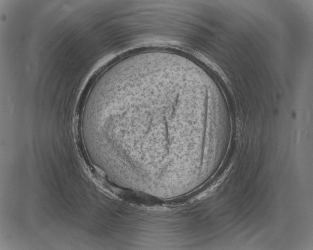 X0000083651029200703121740