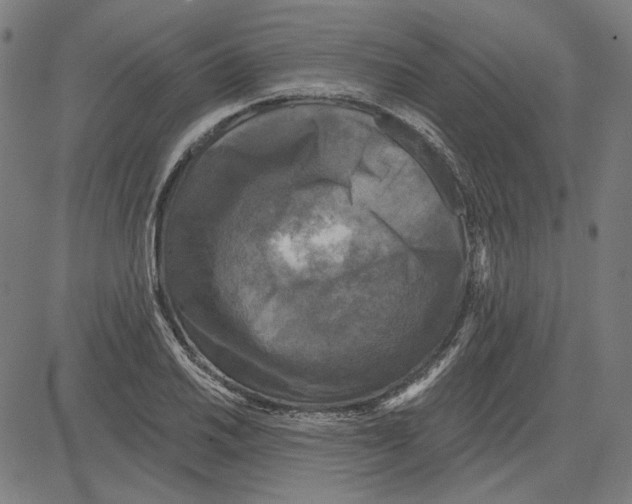 X0000083651030200703121740