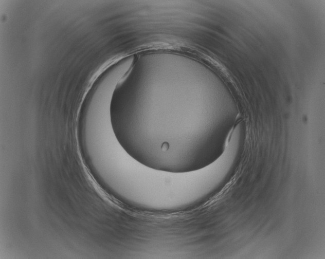 X0000083651034200703121740