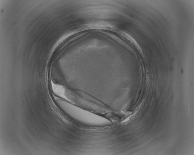 X0000083651035200703121740