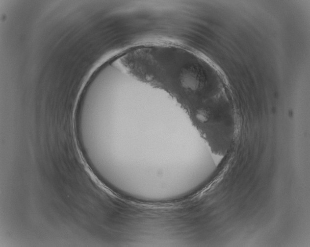 X0000083651037200703121740