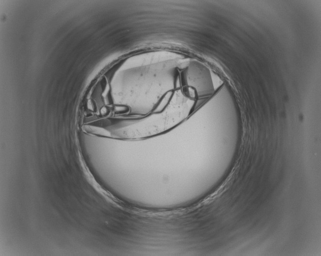 X0000083651038200703121740