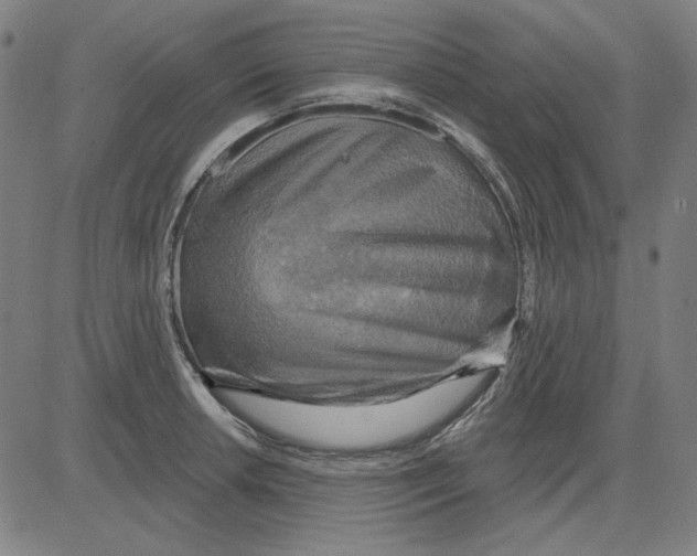 X0000083651042200703121740