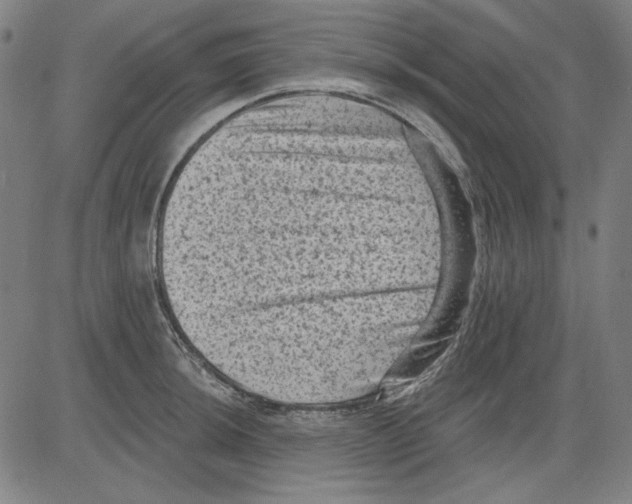 X0000083651044200703121740