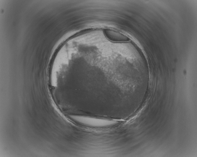 X0000083651045200703121740