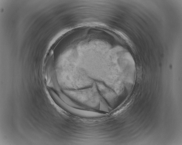 X0000083651046200703121740