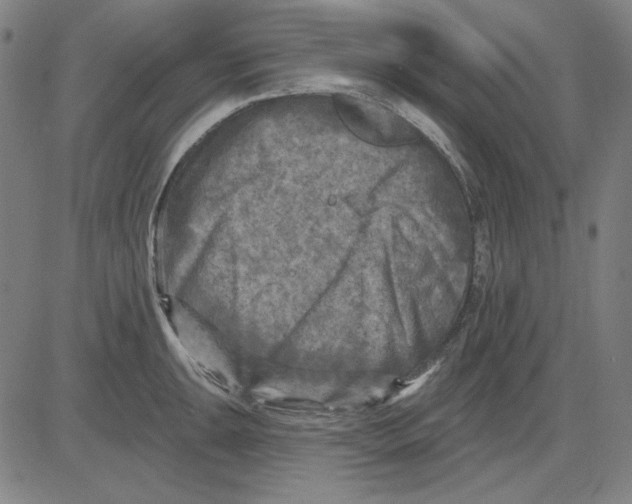 X0000083651047200703121740