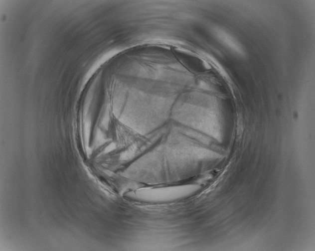 X0000083651048200703121740