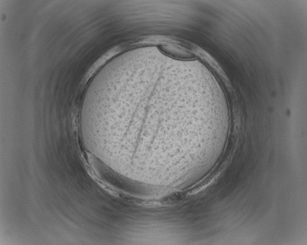 X0000083651049200703121740