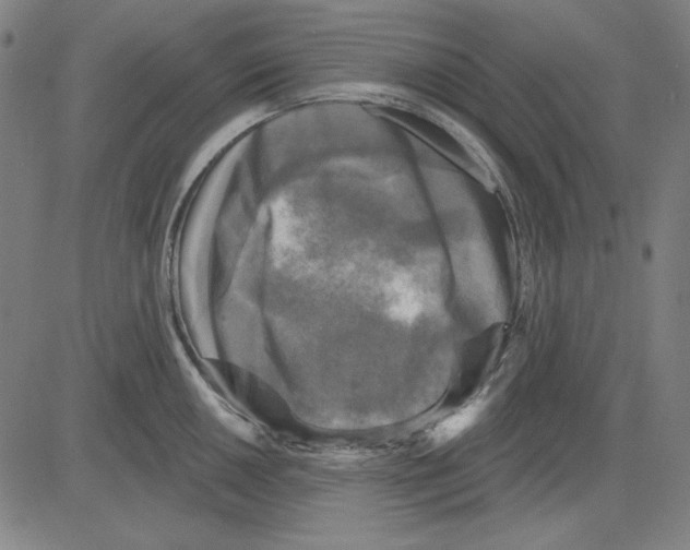 X0000083651050200703121740