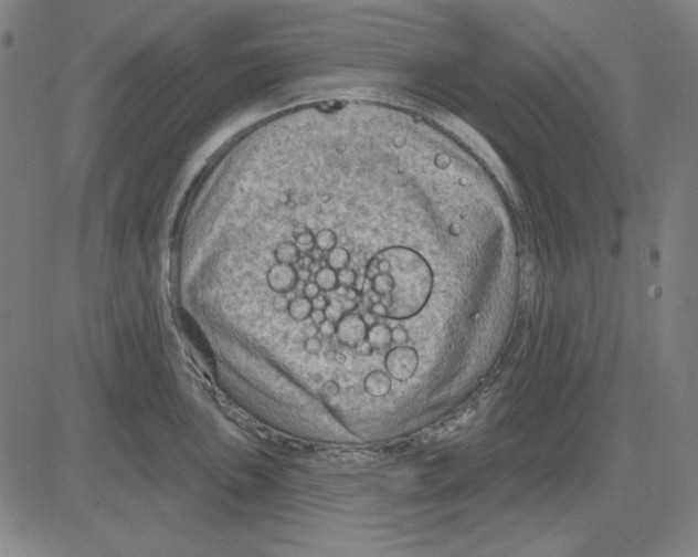 X0000083651051200703121740