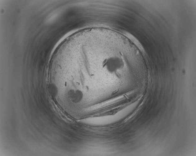 X0000083651052200703121740