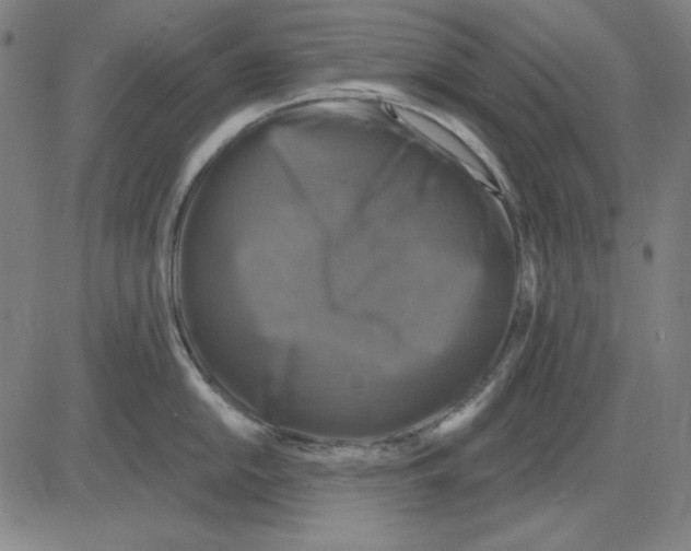 X0000083651054200703121740