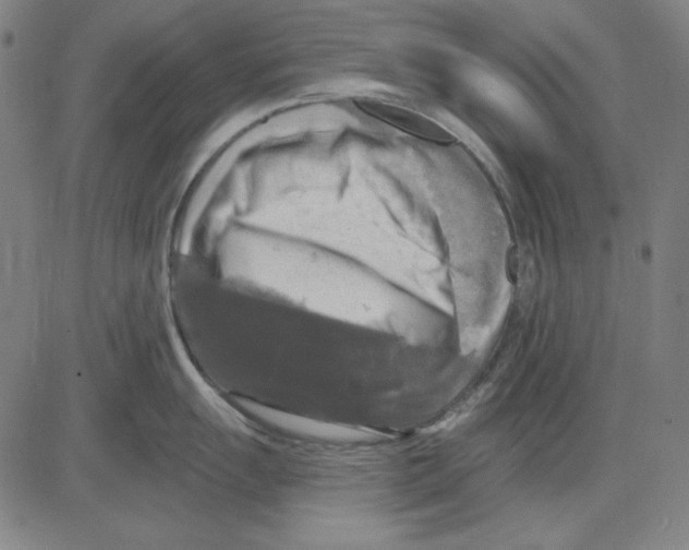 X0000083651055200703121740