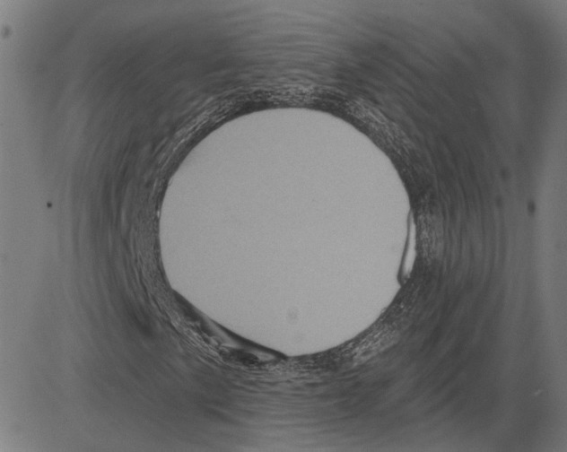 X0000083651057200703121740