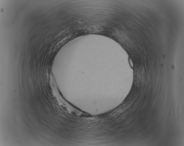 X0000083651058200703121740