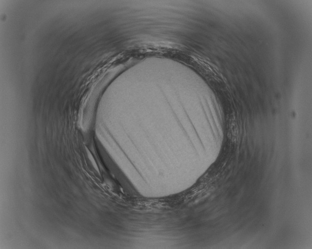 X0000083651061200703121739