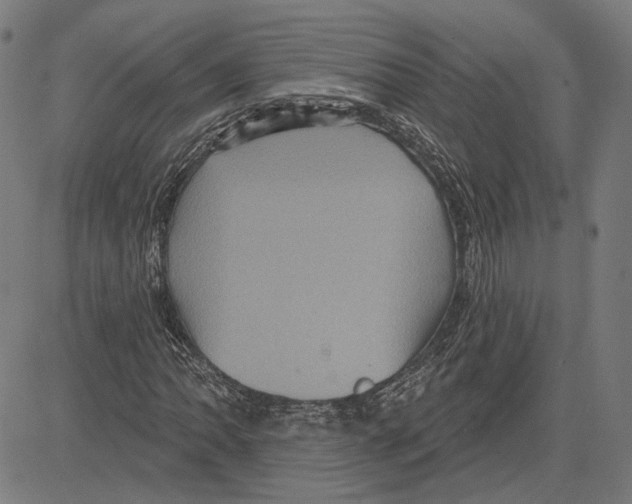 X0000083651062200703121739