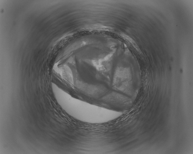 X0000083651063200703121739