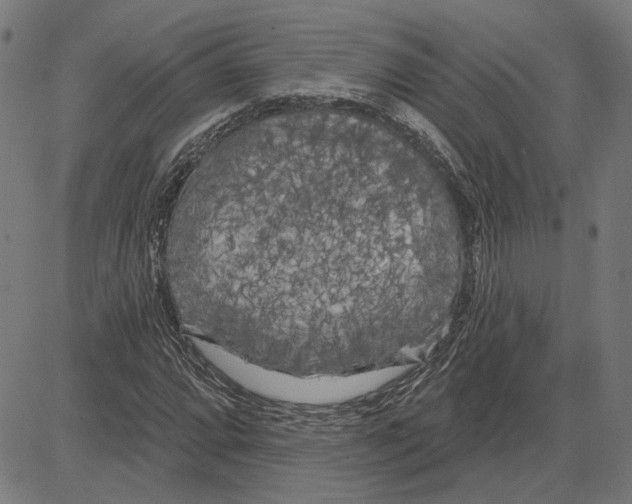 X0000083651064200703121739