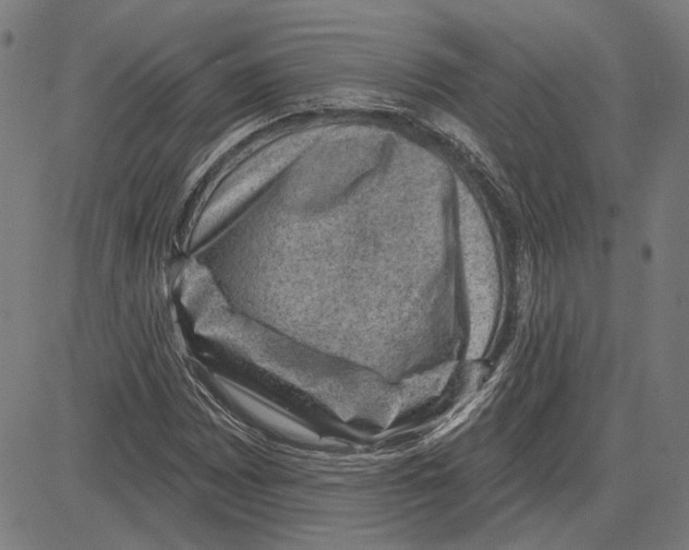 X0000083651065200703121739