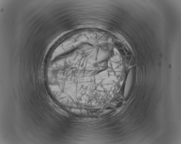 X0000083651068200703121739