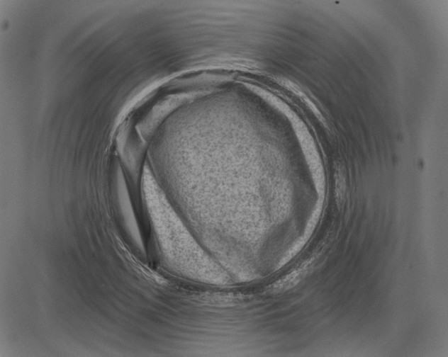 X0000083651069200703121739