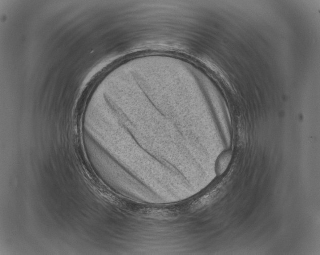 X0000083651070200703121739