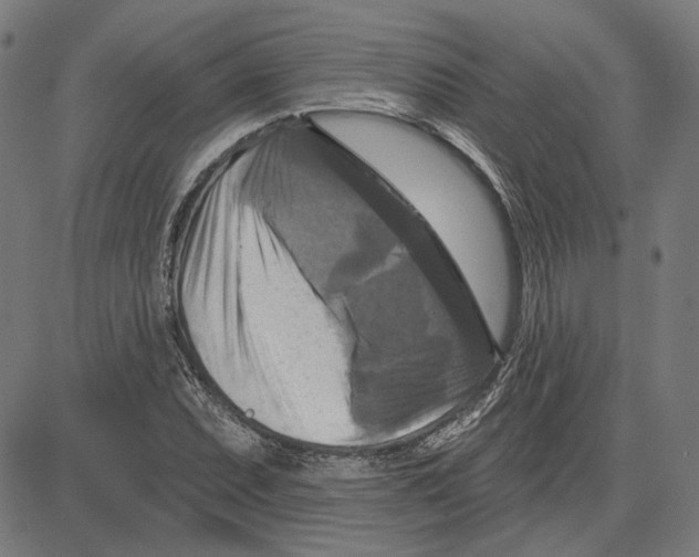 X0000083651071200703121739