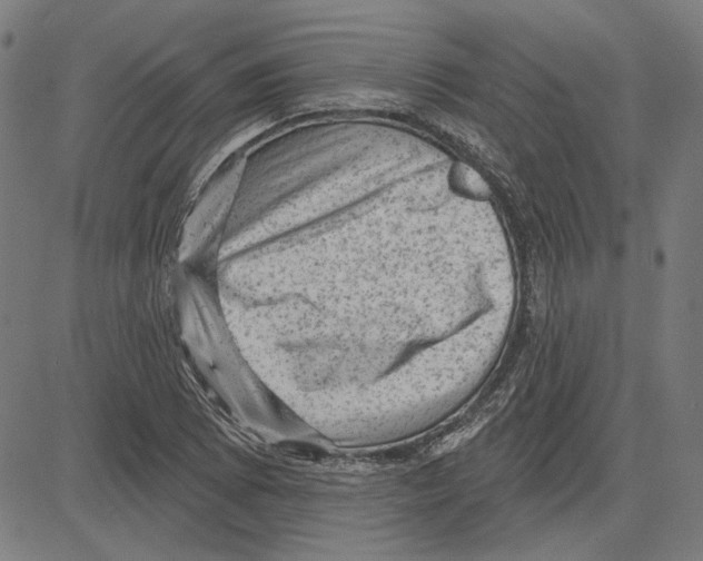 X0000083651073200703121739