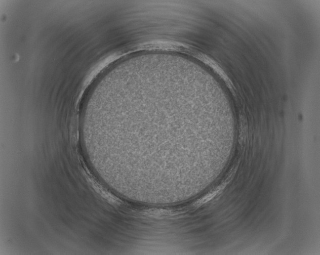 X0000083651075200703121739