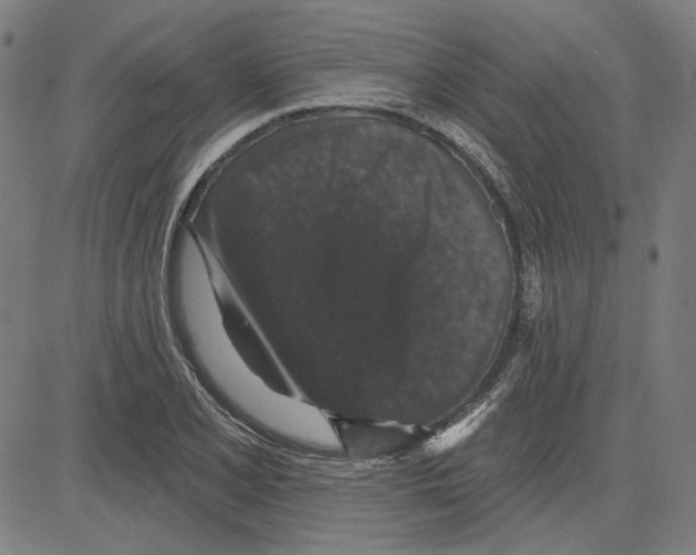 X0000083651077200703121739