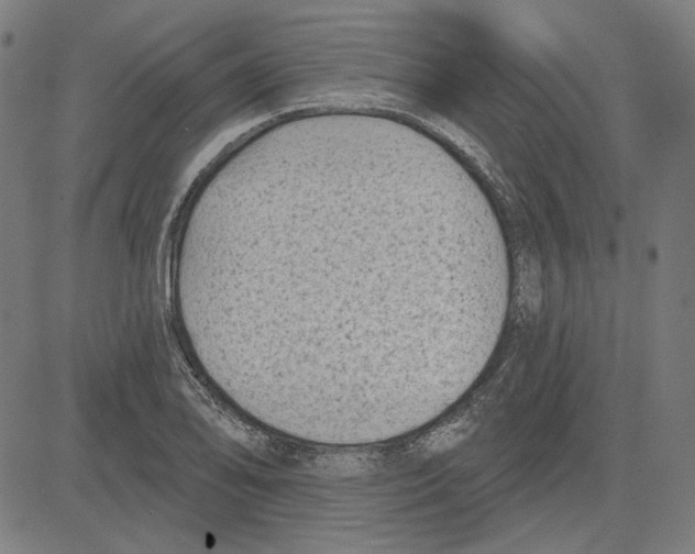 X0000083651078200703121739