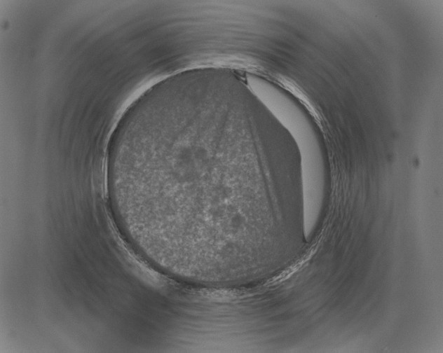 X0000083651079200703121739