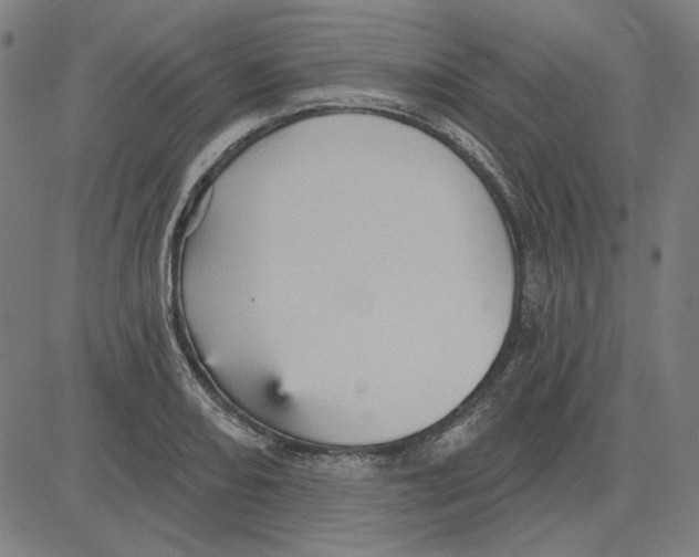 X0000083651082200703121739