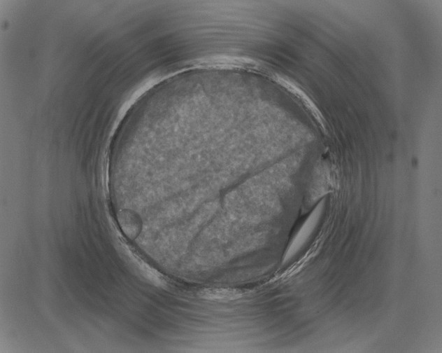 X0000083651083200703121739