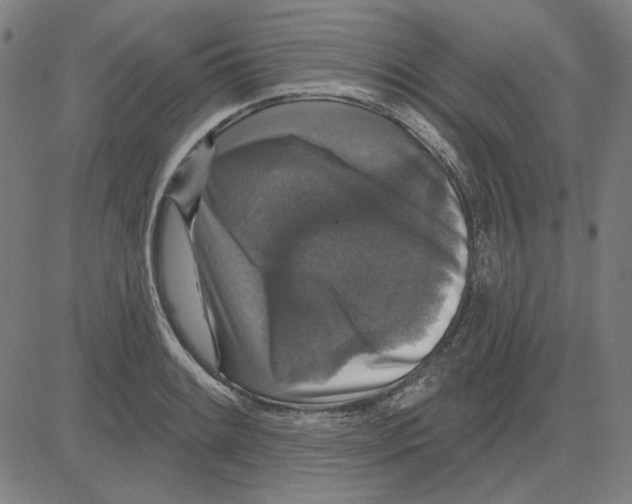 X0000083651084200703121739