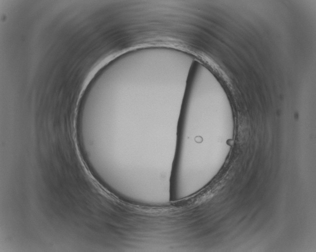 X0000083651085200703121739