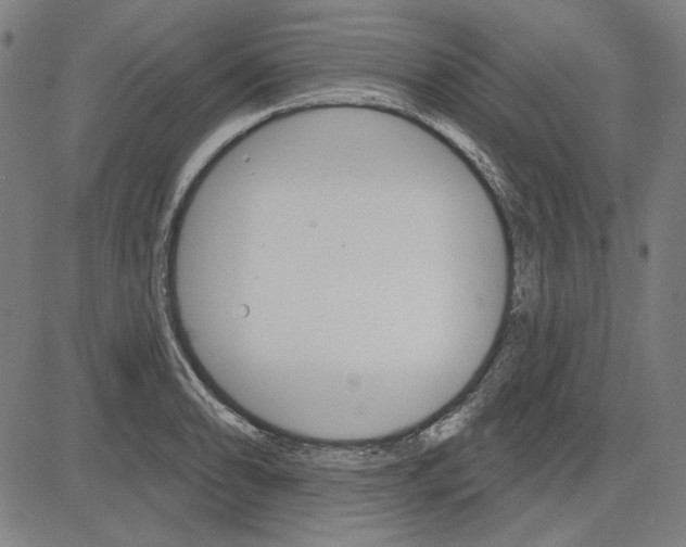 X0000083651086200703121739