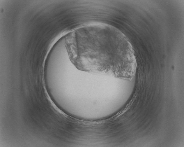 X0000083651087200703121739