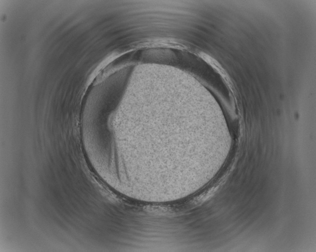 X0000083651089200703121739