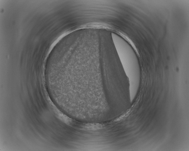 X0000083651091200703121739