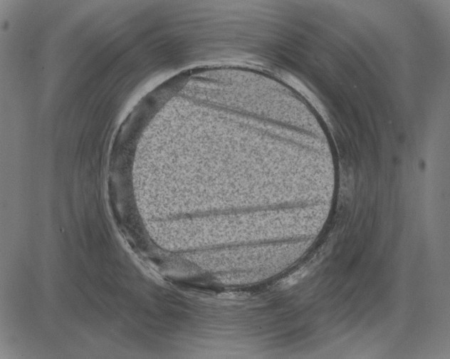 X0000083651093200703121739