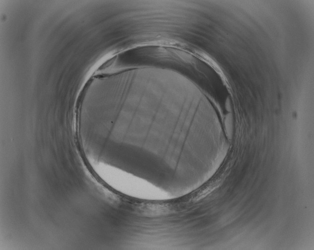 X0000083651095200703121739