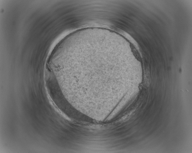 X0000083651096200703121739