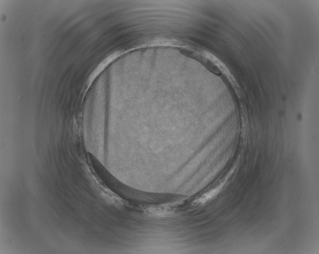 X0000083651097200703121739